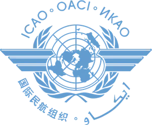 Dangerous Goods by Air ICAO Technical Instructions ICAO